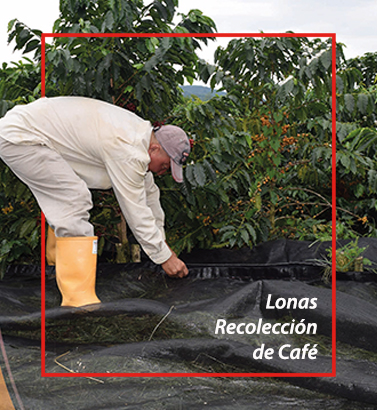 foto-recuadros-377x410-1